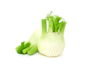 Fennel