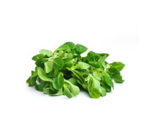 Lamb's lettuce